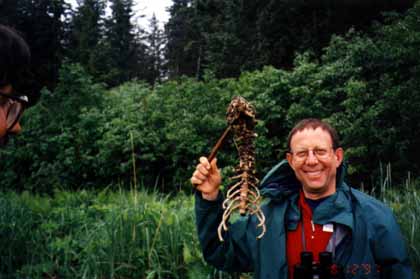 Michael & sea otter skeleton