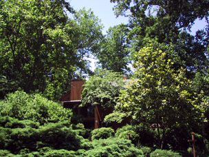 House in the woods