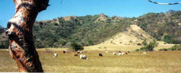 Guanacaste