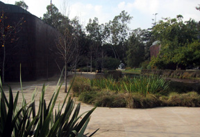 Simon gardens