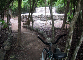 Bike at altar