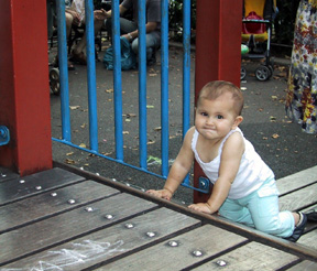 Josie climbing