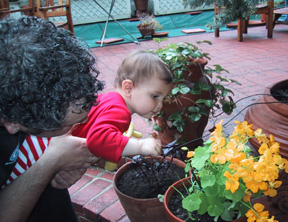 Josie smelling flowers