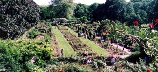 Formal gardens