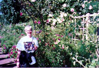 The Rose of Sharon