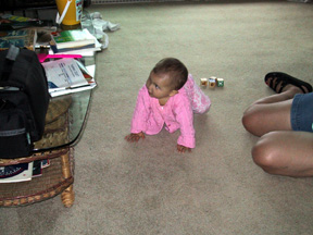 Josie crawling