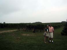 Paumanok Vineyard