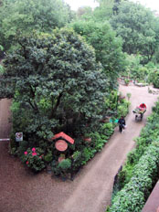 Annalena Garden