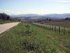 Chianti road