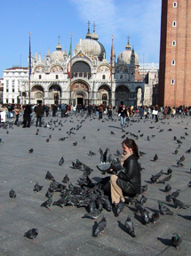 Feeding pigeons