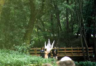 Huppah bearers