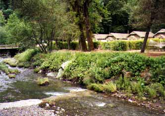 White Sulphur Springs