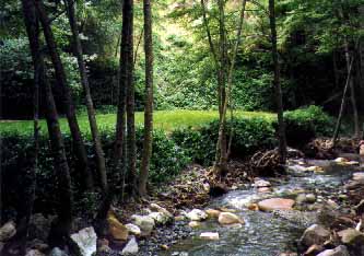 White Sulphur Springs